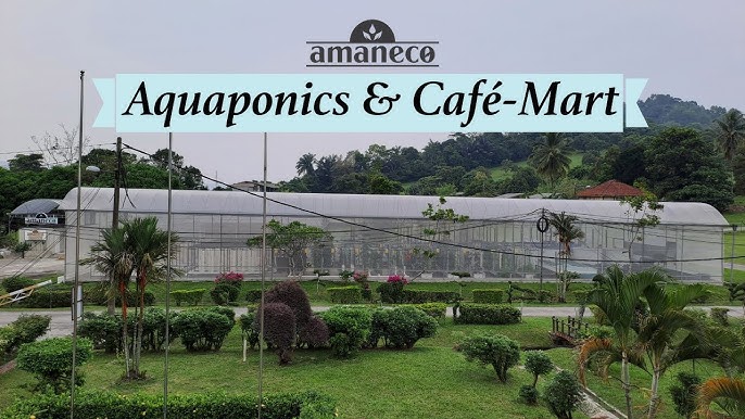 Amaneco Café & Aquaponics