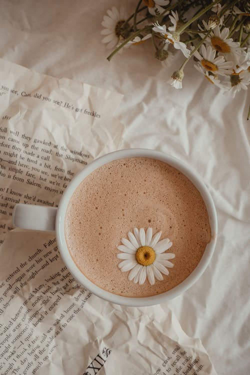 Daisy Coffee Daisy Coffee
