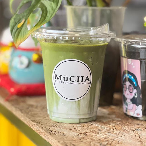 MuCHA The Ceremonial Matcha MuCHA The Ceremonial Matcha