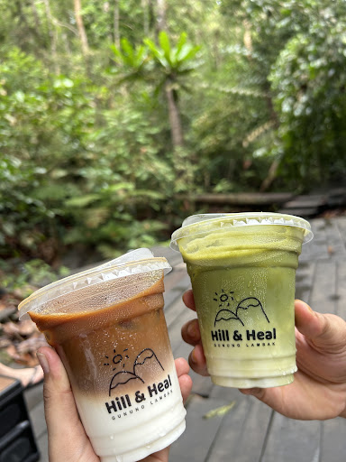 Hill & Heal