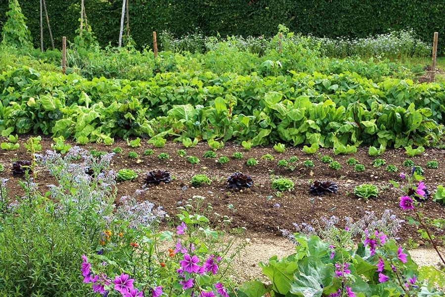 Garden Land 1 garden land