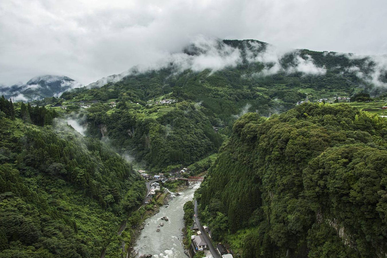 hinokage kulai e781abe381aee5bdb1