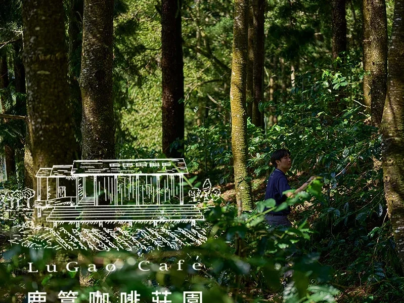 lu coffee taman soga