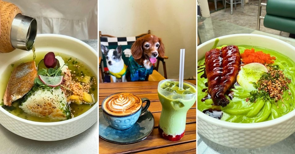 Matcha & You