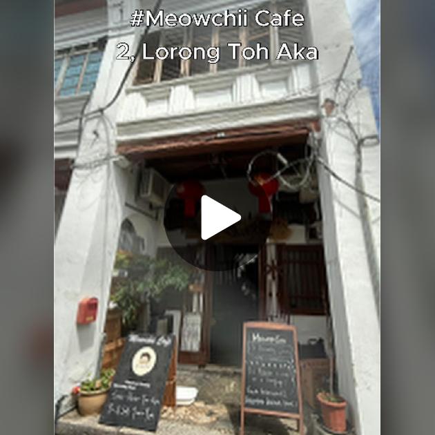 Meowchii Cafe