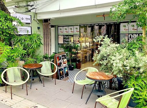 Naug Cafe (Naug Just Plants’ backyard) 1 naug cafe naug just plants backyard
