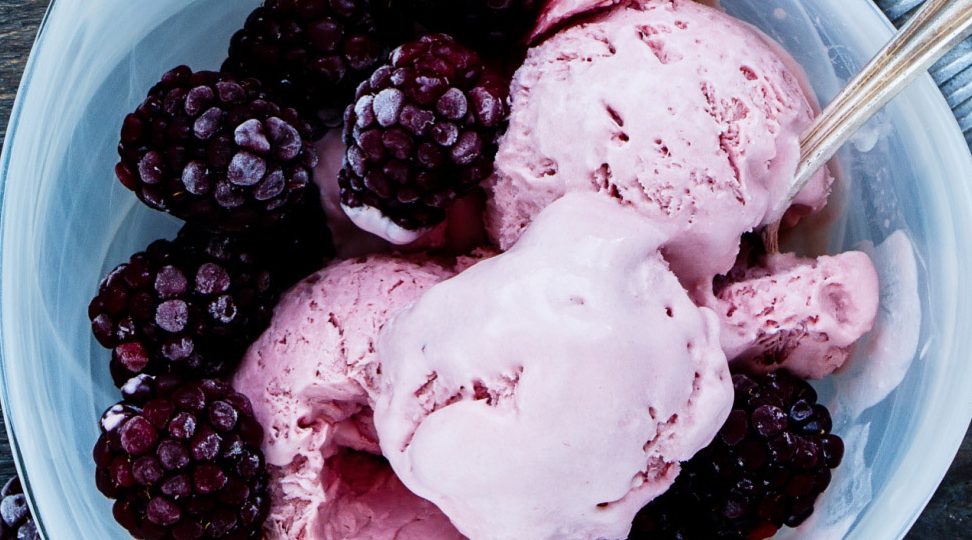 PUREE GELATO 1 puree gelato