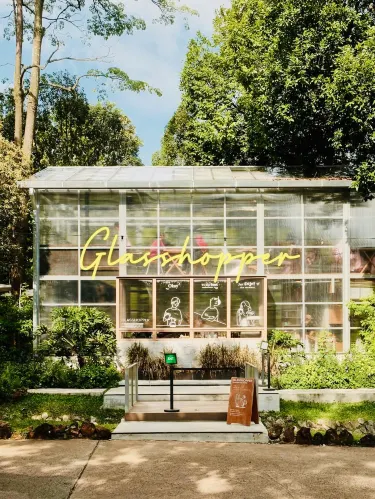 The Glasshopper The Glasshopper